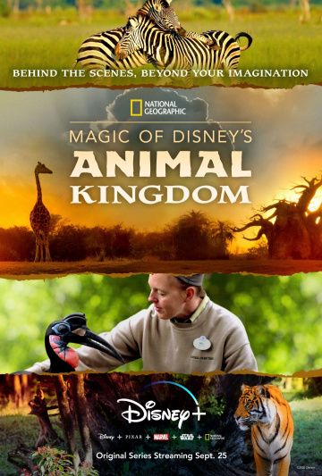 Au cœur de Disney’s Animal Kingdom 