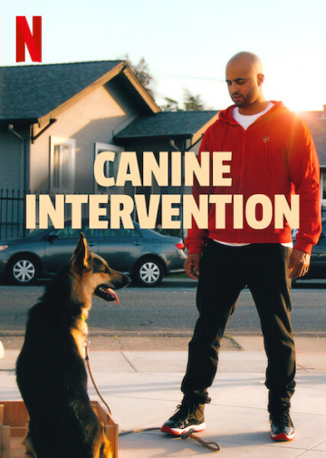 Canine Intervention 