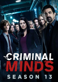 Esprits criminels saison 13 poster