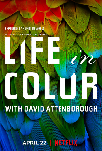 La Vie en couleurs avec David Attenborough 