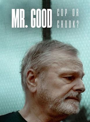 Mr. Good : Flic ou baron ? 