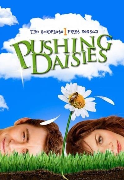 Pushing Daisies saison 1 poster